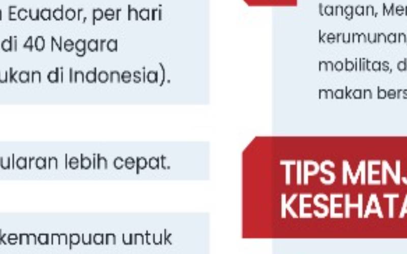 other-image-article