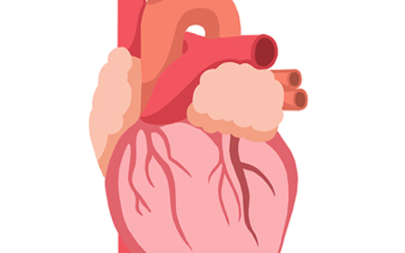 thumbnail-image